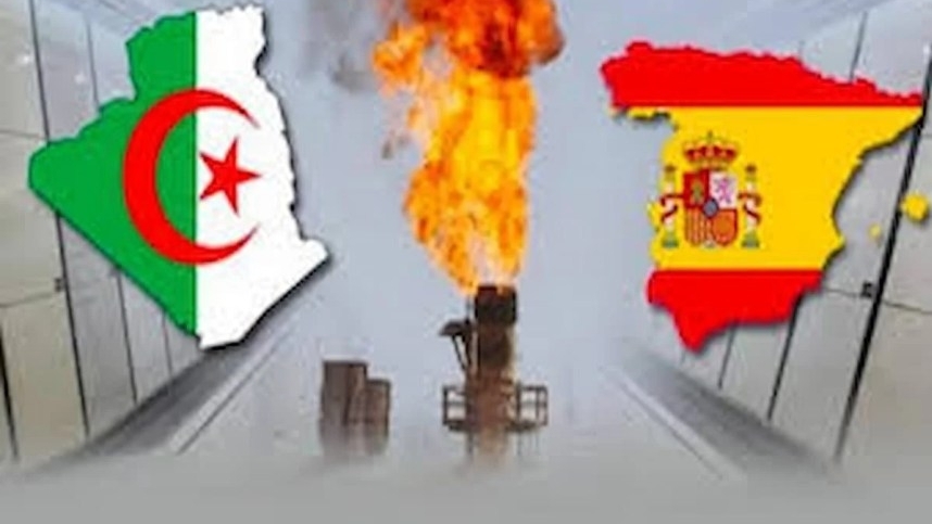 découvrez les enjeux et opportunités de l'exportation algérienne, un secteur clé pour l'économie du pays. explorez les principaux produits exportés, les marchés cibles et les défis auxquels les entreprises font face dans un contexte mondial en constante évolution.