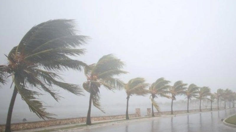 Des tempêtes de vent et des pluies orageuses frappent ces régions découvrez l'impact des tempêtes et des pluies sur notre climat et notre environnement. analysez les phénomènes météorologiques extrêmes, leurs conséquences sur la nature et les mesures à prendre pour s'y préparer.